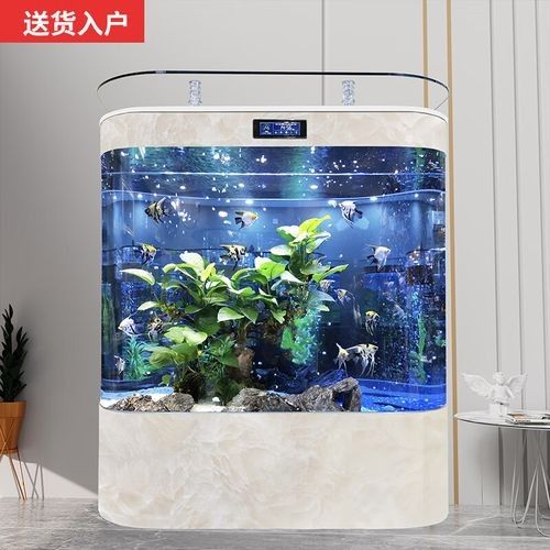 有哪些品牌金龍魚缸背景值得推薦？：金龍魚缸哪個(gè)牌子好