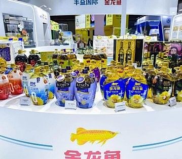 B過(guò)背金龍魚的價(jià)格是多少：\