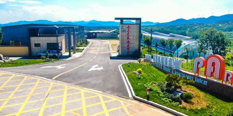 鄒城哪個水族館龍魚好？祥龍魚場龍魚：山東省鄒城市祥龍魚場龍魚種類繁多