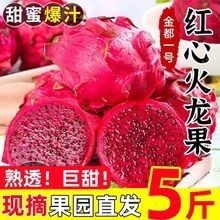 紅心火龍果的價格是多少：紅心火龍果和白心火龍果哪個更有營養(yǎng)紅心火龍果價格行情走勢