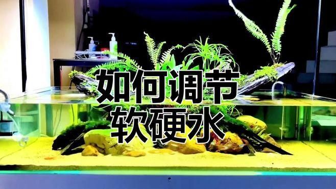 如何調整魚缸的pH值至理想范圍：如何調整魚缸ph值