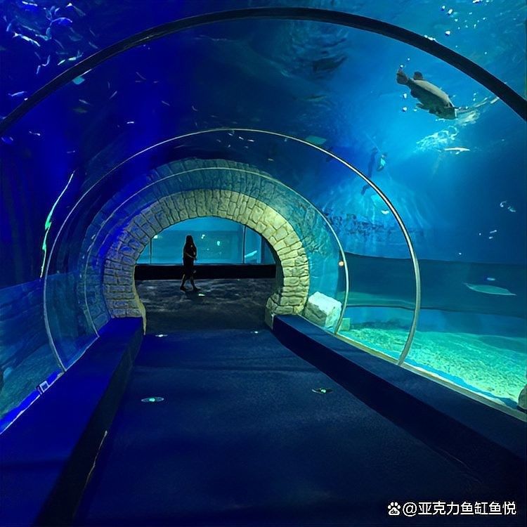 如何調整魚缸的pH值至理想范圍：如何調整魚缸ph值