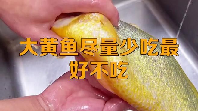 如何區(qū)分黃花魚和大黃魚：小朋美食圈，黃花魚和黃魚有什么區(qū)別