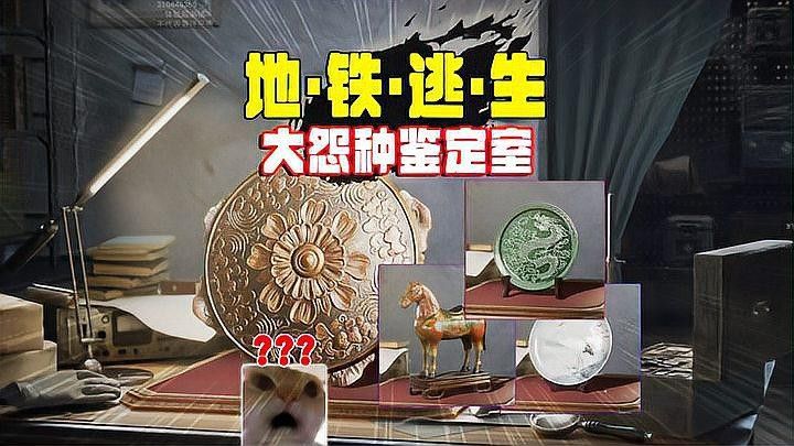 金龍幣的收藏價值如何評估：金龍幣的收藏價值