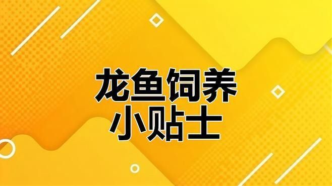 龍魚缸濾材擺放順序：養魚說,魚缸里的濾材擺放順序,你擺正確了嗎