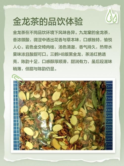 如何沖泡金龍系列茶葉？：沖泡金龍系列茶葉的基本步驟