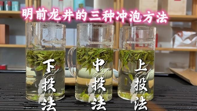 如何沖泡金龍系列茶葉？：沖泡金龍系列茶葉的基本步驟