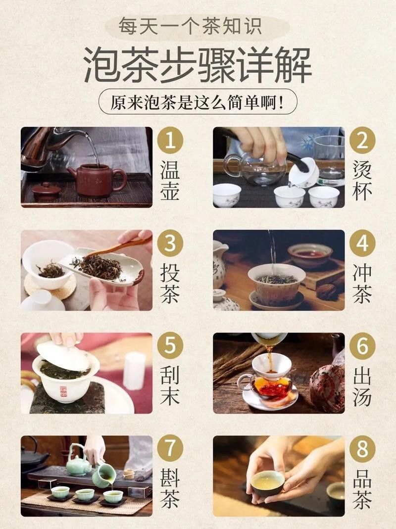 如何沖泡金龍系列茶葉？：沖泡金龍系列茶葉的基本步驟