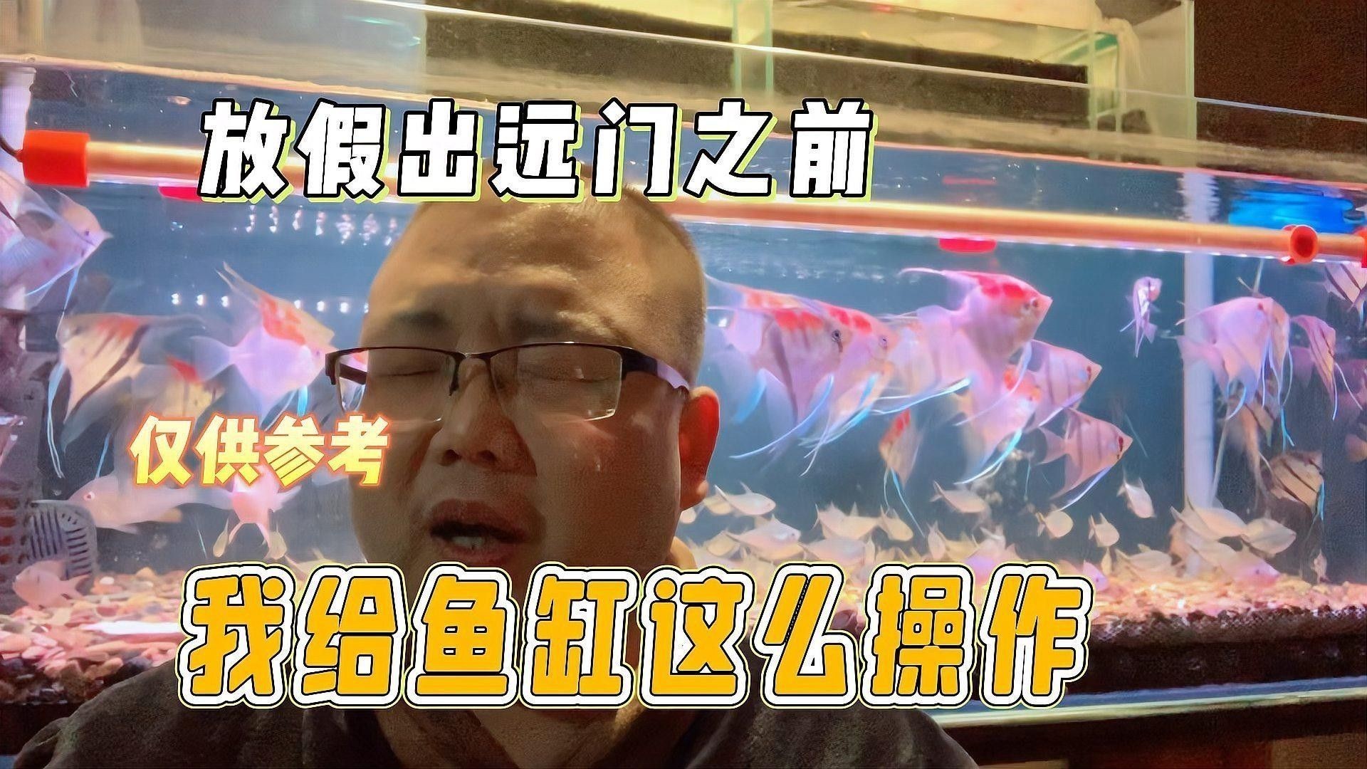 檢疫期間需要換水嗎？：新魚入缸科學檢疫全流程指南,觀賞魚水族館老板必收藏魚聞天下