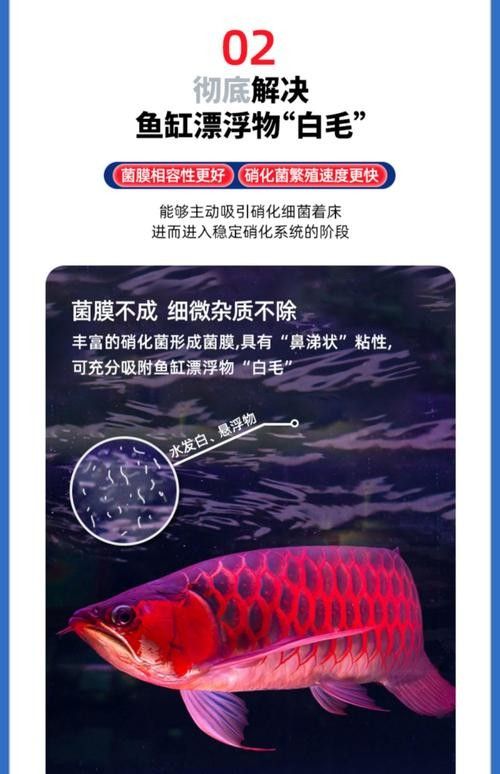 哪些生化濾材品牌口碑最好：口碑較好的生化濾材品牌