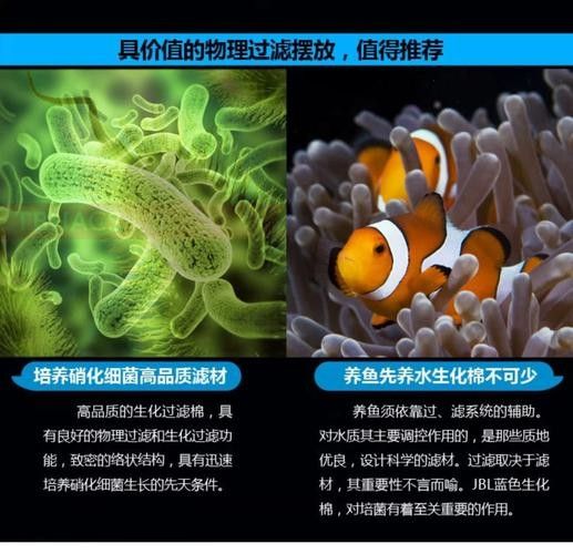 哪些生化濾材品牌口碑最好：口碑較好的生化濾材品牌