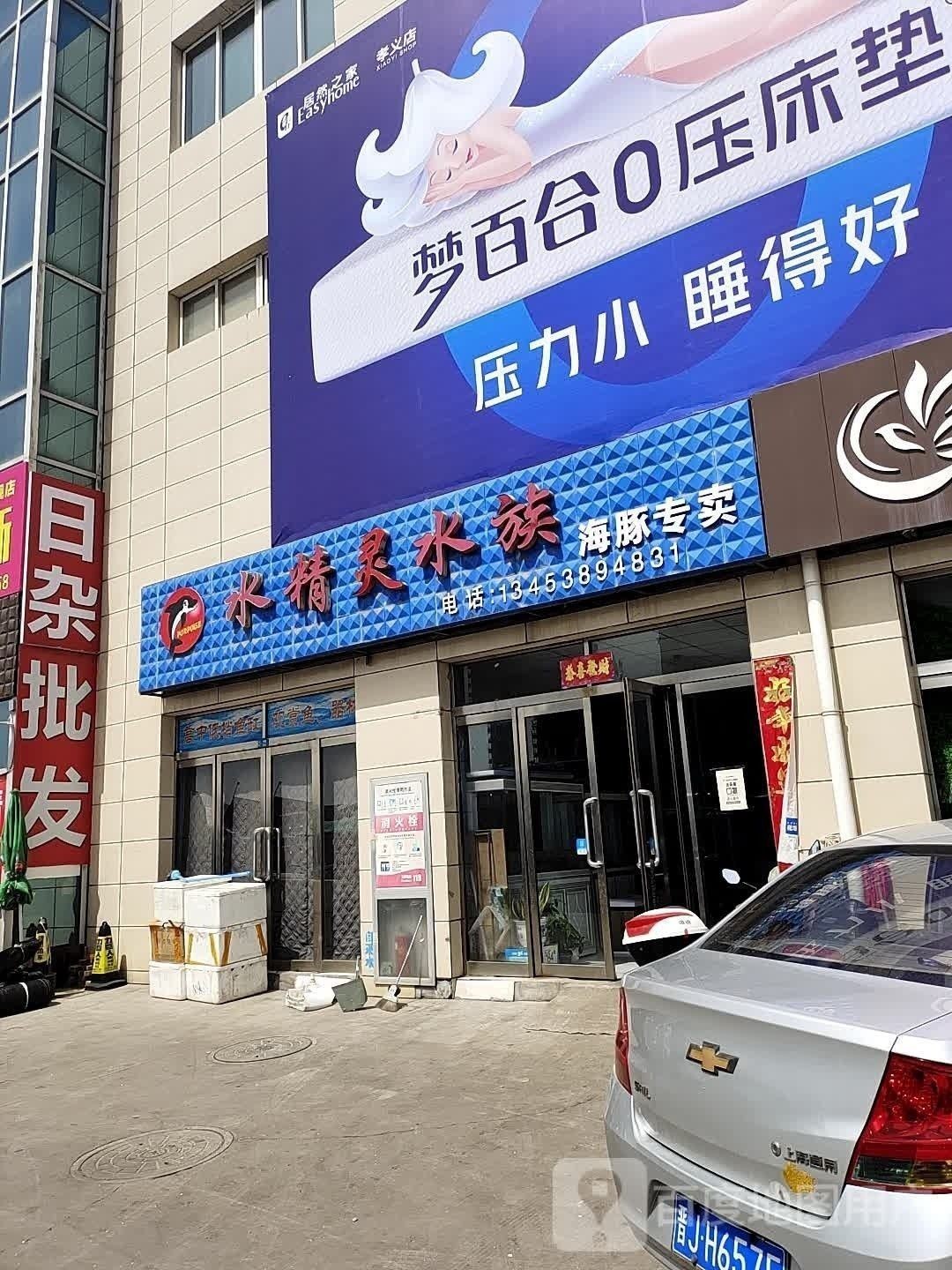 孝義哪個水族館龍魚好？祥龍魚場龍魚：孝義市水族館——祥龍魚場