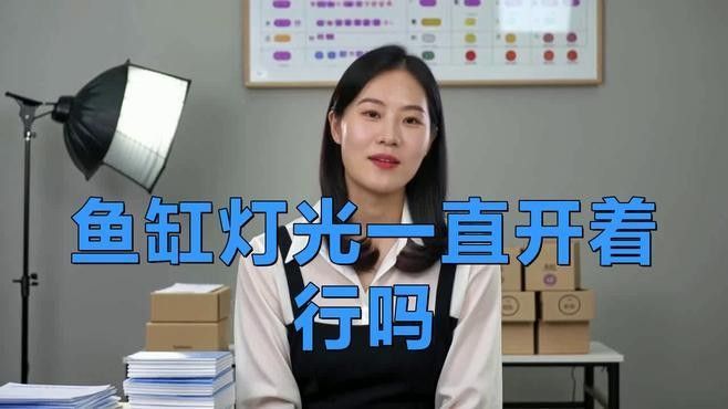 金龍魚缸的光照時間如何調整：如何調整金龍魚缸光照時間
