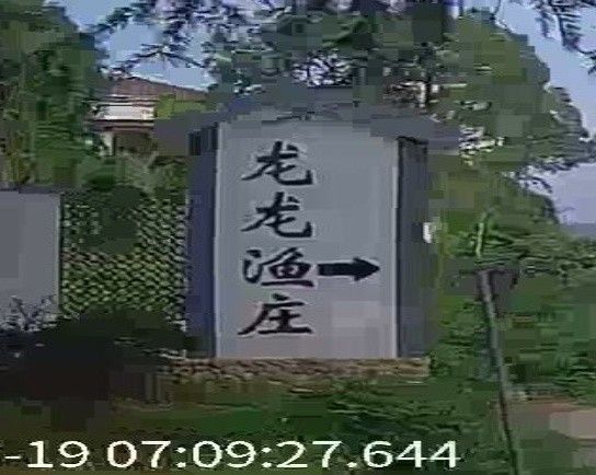 如何聯(lián)系安吉龍龍魚莊：如何聯(lián)系安吉龍龍漁莊 如何聯(lián)系安吉龍龍魚莊：如何聯(lián)系安吉龍龍漁莊 龍魚百科 第7張