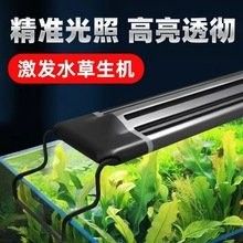 紅龍養殖需要多大的LED燈？：紅龍養殖led燈的選擇