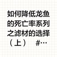 混養(yǎng)龍魚需要哪些濾材：養(yǎng)龍魚需要多種濾材來維持水質(zhì)的清潔和穩(wěn)定