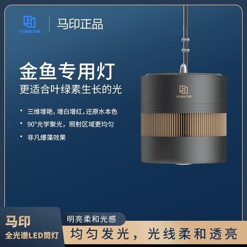 哪個型號的馬印神燈性價比最高：全面解析馬印神燈