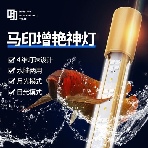 哪個型號的馬印神燈性價比最高：全面解析馬印神燈