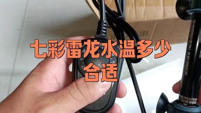 雷龍魚(yú)的最佳水溫是多少：雷龍魚(yú)的最佳水溫范圍及飼養(yǎng)建議 雷龍魚(yú)的最佳水溫是多少：雷龍魚(yú)的最佳水溫范圍及飼養(yǎng)建議 龍魚(yú)百科 第2張