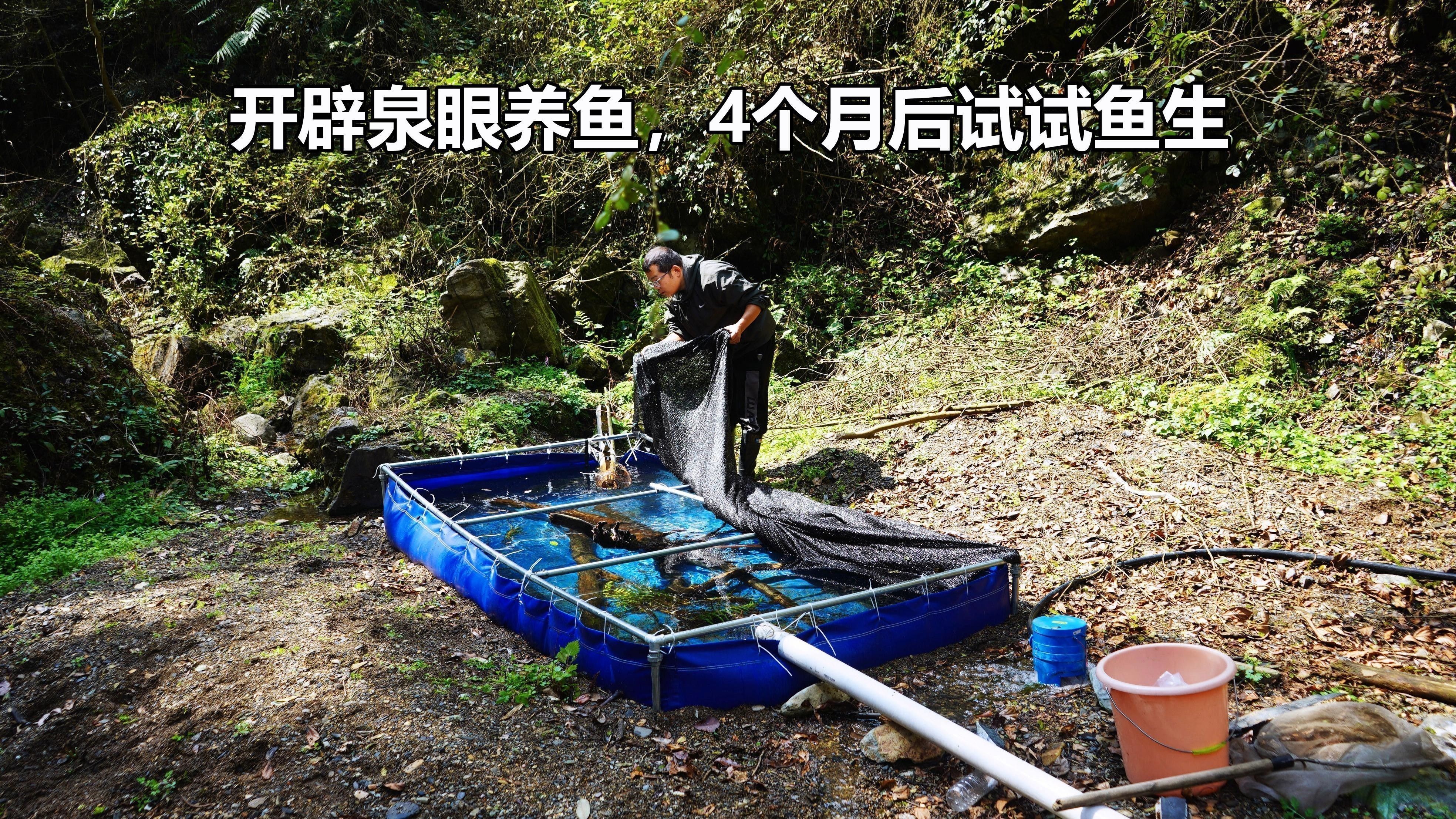 如何處理活餌以防止寄生蟲感染（如何正確處理活餌以防止寄生蟲感染） 如何處理活餌以防止寄生蟲感染（如何正確處理活餌以防止寄生蟲感染） 龍魚百科