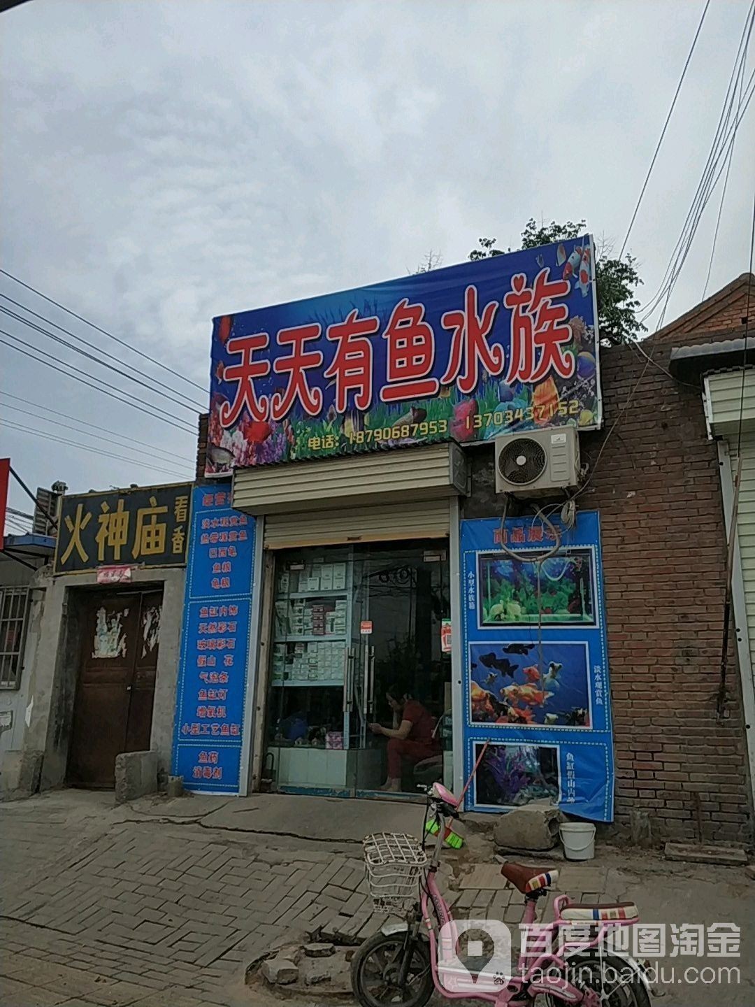 原陽哪個水族館龍魚好？祥龍魚場龍魚（原陽祥龍魚場）