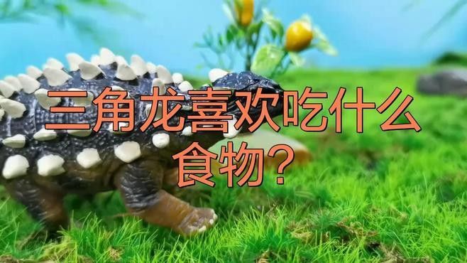 三角龍魚有哪些特征？（三角龍魚的品種特征具有三角特征的品種三角龍魚有哪些）
