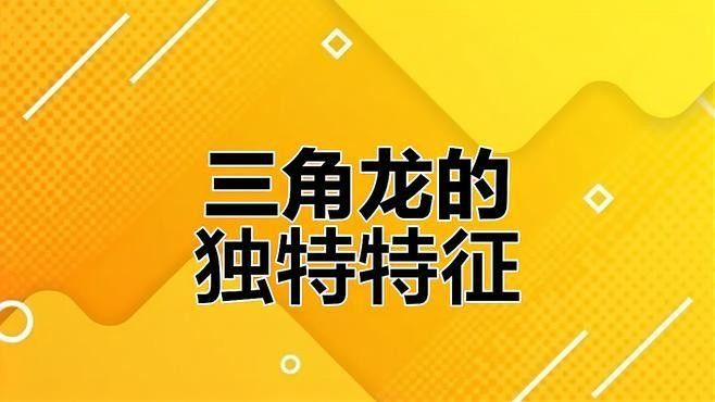 三角龍魚有哪些特征？（三角龍魚的品種特征具有三角特征的品種三角龍魚有哪些）