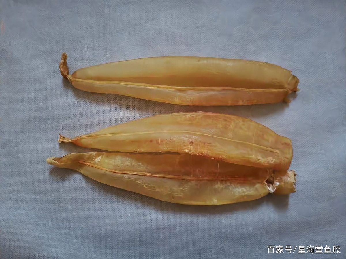 金龍魚膠的產(chǎn)地在哪里？（金龍魚膠是什么）