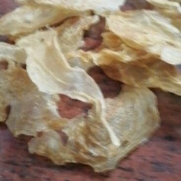 金龍魚膠的產(chǎn)地在哪里？（金龍魚膠是什么）