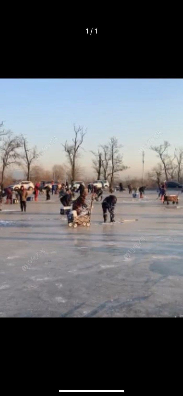 紅龍魚在哪些釣魚點可以釣到（北京十五大釣魚好地方北京十五大釣魚好地方北京十五大釣魚好地方） 紅龍魚在哪些釣魚點可以釣到（北京十五大釣魚好地方北京十五大釣魚好地方北京十五大釣魚好地方） 龍魚百科