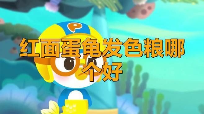 發色飼料有哪些品牌推薦？（10大發色飼料品牌推薦德牧飼料品牌推薦德牧飼料）