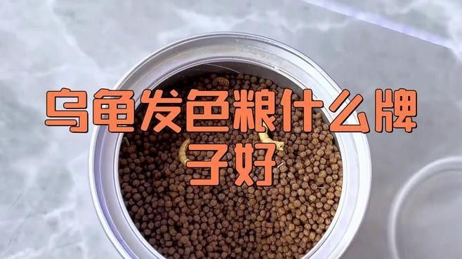 發色飼料有哪些品牌推薦？（10大發色飼料品牌推薦德牧飼料品牌推薦德牧飼料）