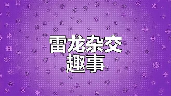 彩虹雷龍魚可以混養嗎？（彩虹雷龍魚與其他魚類混養時有幾個關鍵因素要考慮）