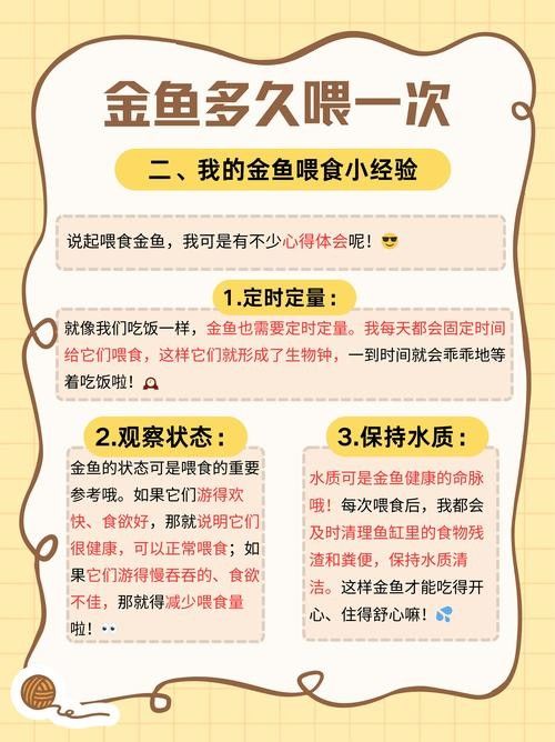 金龍魚開口吃食后應該喂什么（金龍魚在開口吃食后需要適當的飲食來維持健康）