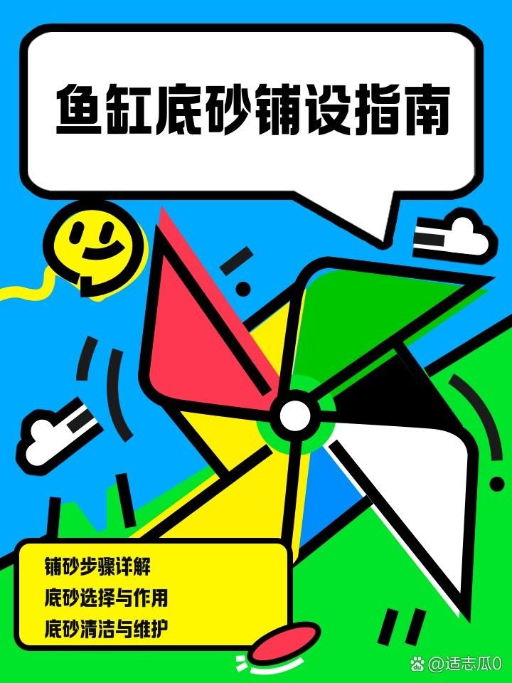 龍魚缸底砂選擇什么材質好？（魚缸底砂的選擇對于水質管理和美觀度至關重要）