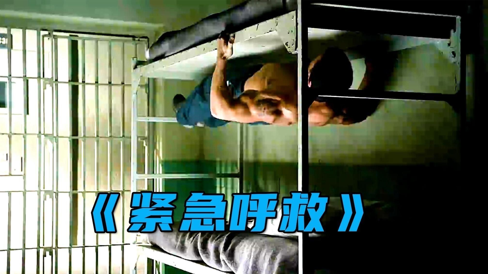 如何為龍貓設置攀爬設施？（為龍貓設置攀爬設施的最佳材質是什么龍貓攀爬設施的最佳材質是什么）