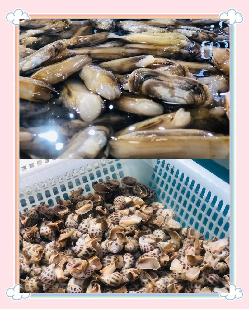 太原龍魚批發市場的營業時間（太原龍魚批發市場） 太原龍魚批發市場的營業時間（太原龍魚批發市場） 龍魚百科 第1張