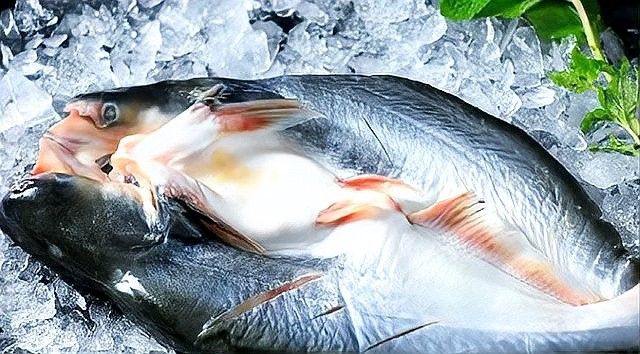 如何區分巴沙魚片和龍利魚片？（如何區分龍利魚和巴沙魚）