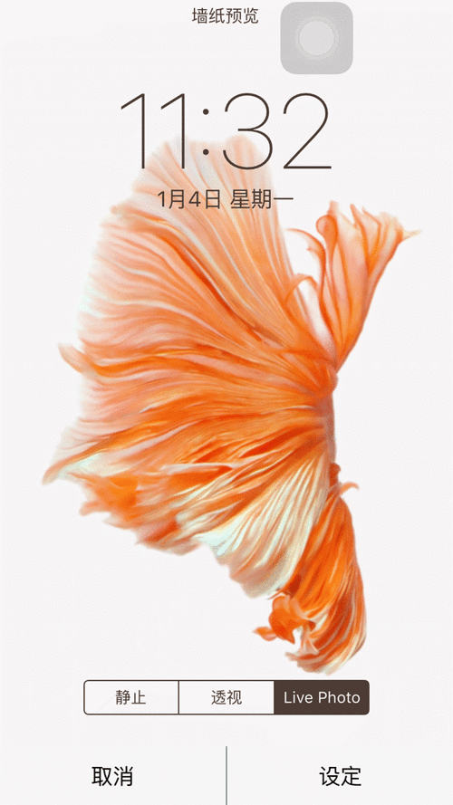 如何在手機(jī)上設(shè)置動(dòng)態(tài)壁紙（手機(jī)動(dòng)態(tài)壁紙?jiān)趺丛O(shè)置）