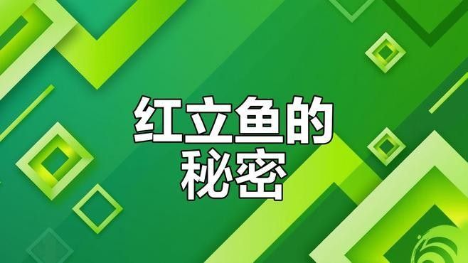 香煎紅龍魚的具體步驟（香煎紅龍魚的詳細步驟） 香煎紅龍魚的具體步驟（香煎紅龍魚的詳細步驟） 龍魚百科 第3張