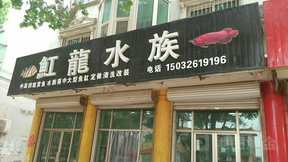 高邑哪個(gè)水族館龍魚好？祥龍魚場(chǎng)龍魚（廣州龍魚祥龍魚場(chǎng)紅龍?jiān)趺礃佣嗖噬钚≠N士聽）