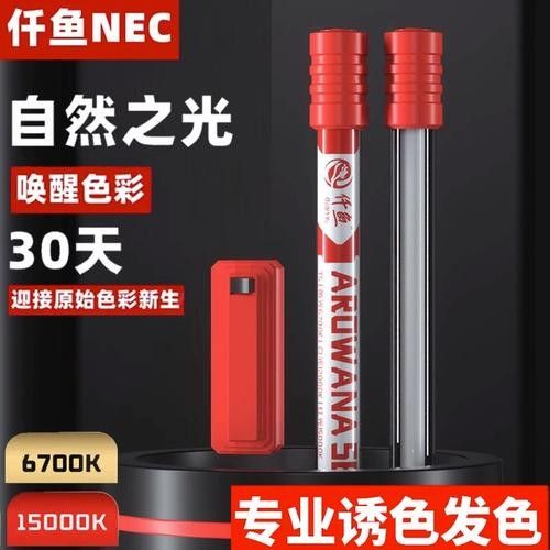 金龍魚專用燈一般多少錢（金龍魚專用燈的價格）