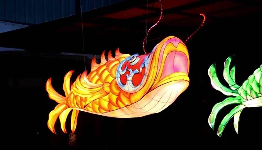 金龍魚專用燈一般多少錢（金龍魚專用燈的價格）