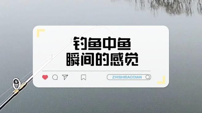 如何判斷魚兒是否咬鉤？（如何判斷魚兒是否已經上鉤？）