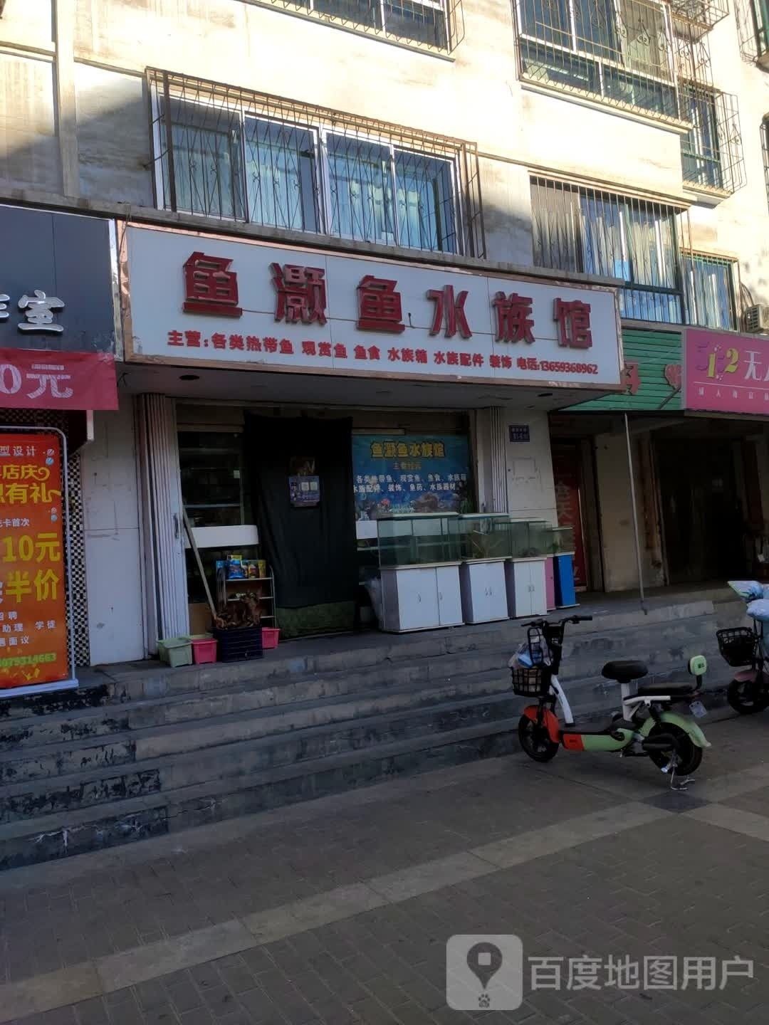 嘉峪關哪個水族館龍魚好？祥龍魚場龍魚（嘉峪關哪個水族館龍魚好）