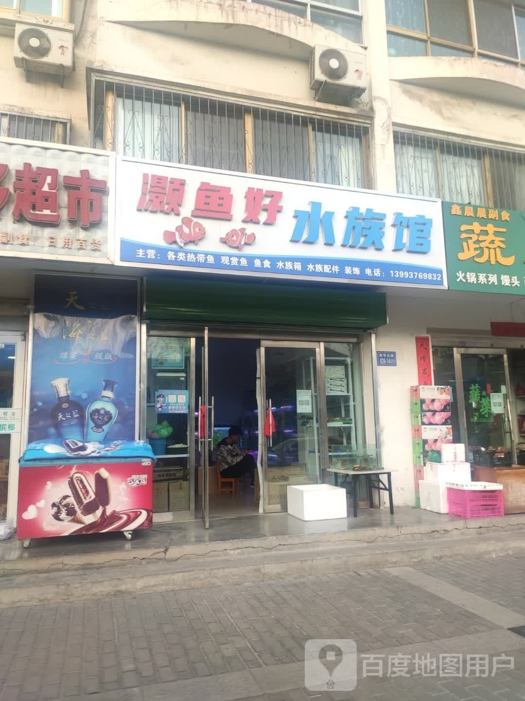 嘉峪關哪個水族館龍魚好？祥龍魚場龍魚（嘉峪關哪個水族館龍魚好）