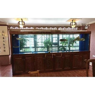 福州還有哪些地方可以購買龍魚（福州哪里可以買到龍魚）