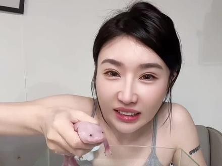 如何拍攝恐龍魚吃食的視頻？（六角恐龍魚吃食的視頻需要一些技巧和設備，你需要找到一只健康的恐龍魚）