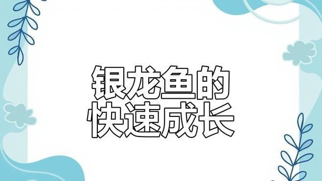 大青龍魚的食物有哪些？（大青龍魚喂養注意事項不同年齡龍魚的喂養注意事項）
