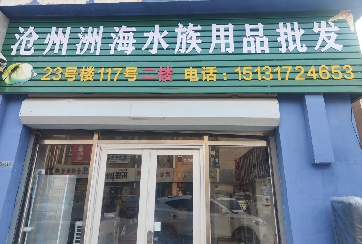 滄州哪個水族館龍魚好？祥龍魚場龍魚（滄州市祥龍魚場） 滄州哪個水族館龍魚好？祥龍魚場龍魚（滄州市祥龍魚場） 龍魚百科 第8張